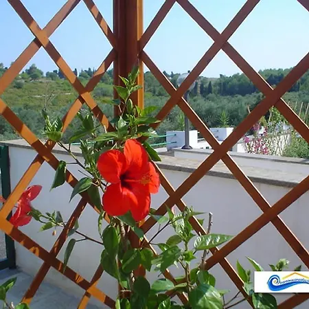 Vacanza Facile - Selva Del Turchese בית נופש